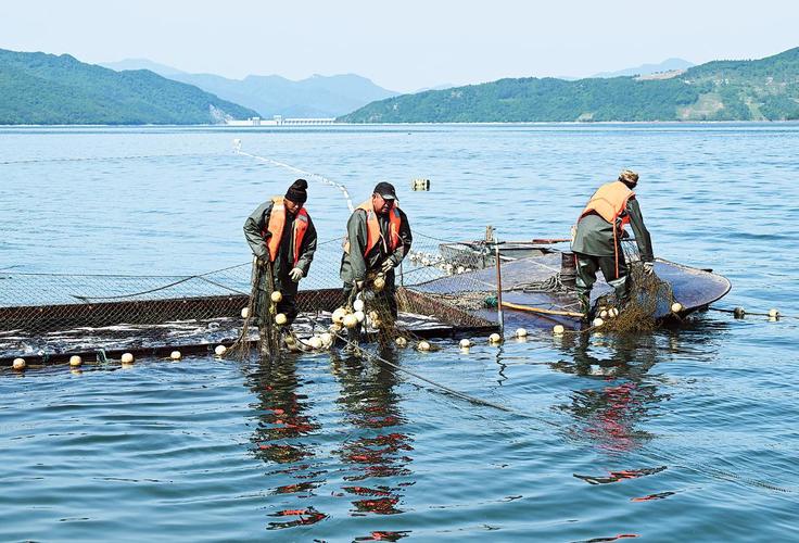 西大洋水庫_西大洋水庫 保定市飲用水源地 漁民補償措施