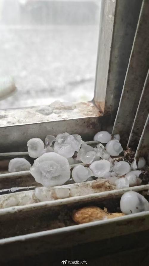 中國網湖北_浠水天氣預報_湖北氣象預警