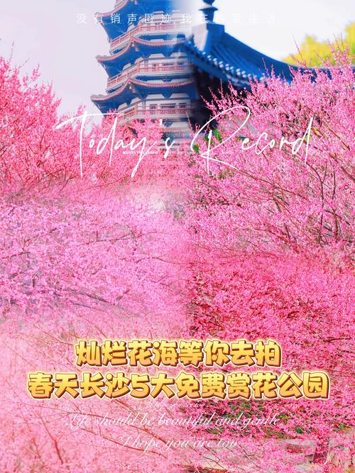 長沙 天氣預報_長沙3月氣溫變化_長沙未來天氣預測