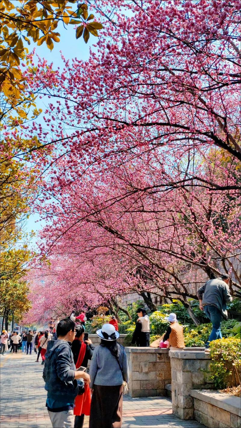長沙 天氣預報_長沙3月氣溫變化_長沙未來天氣預測