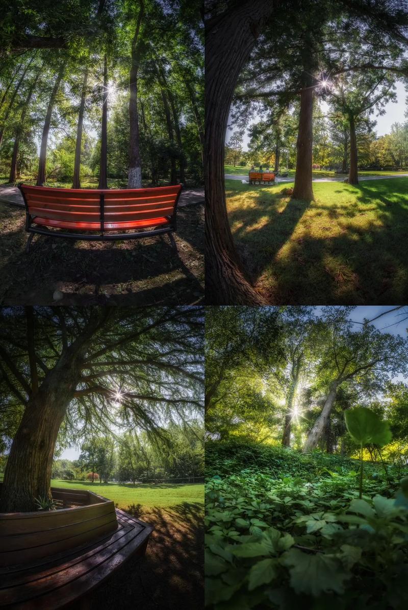 夏末秋初_秋初夏末是什么時候_秋初夏末的句子