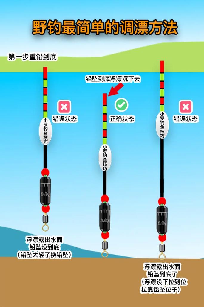 夜釣草魚釣點選擇_夜釣草魚技巧及方法和調電漂?_夏季夜釣草魚技巧