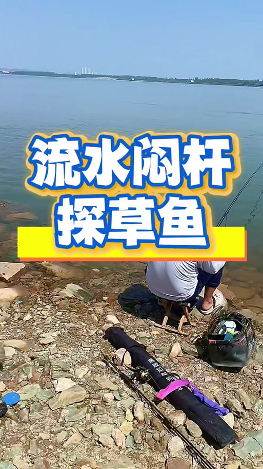 用老玉米做餌料方法_酒泡玉米釣鯉魚_酒加蜂蜜泡玉米釣草魚