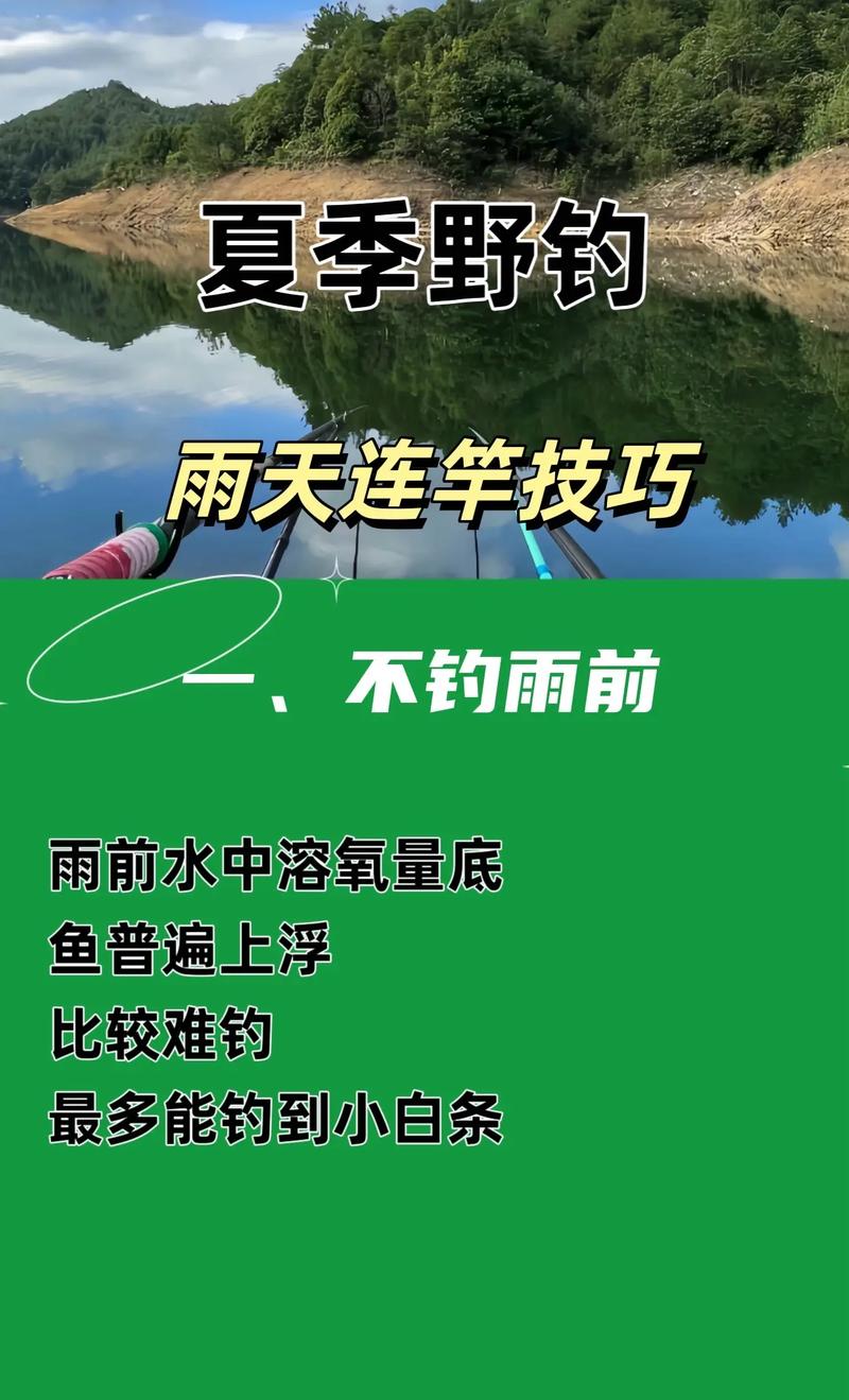 釣降溫不釣升溫_初夏降溫釣魚_溫差變化釣魚技巧