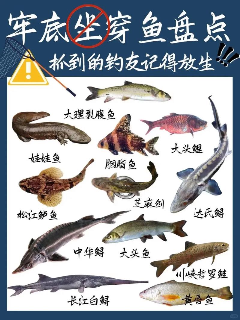 釣魚放生魚能活嗎_釣魚放生魚還能活嗎_魚鉤刺傷魚唇傷害大嗎