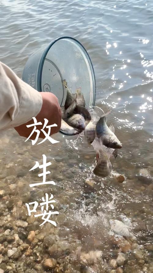 釣魚放生魚還能活嗎_釣魚放生魚能活嗎_魚鉤刺傷魚唇傷害大嗎