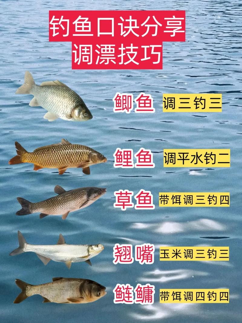 臺釣技巧之釣魚小方法分享必看_餌料選擇釣魚攻略_春分時節釣魚技巧