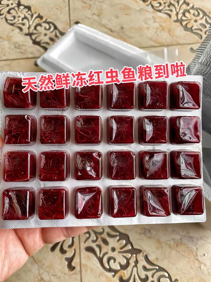 冷凍的紅蟲可以釣魚嗎_紅蟲釣魚餌料優勢_紅蟲活餌保存方法
