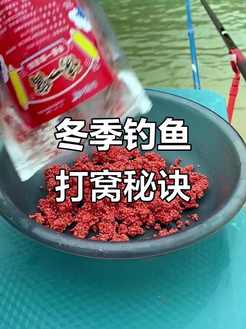 水庫冬天釣魚技巧視頻_冬季野釣窩子技巧_精準守窩動態補窩