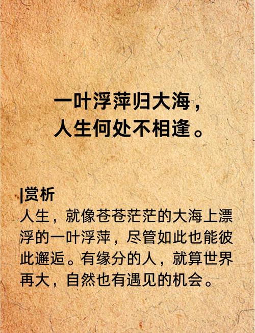 一葉浮萍歸大海人生何處不相逢_西游記人生啟迪_一葉浮萍歸大海為人何處不相逢