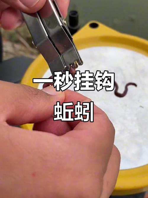 春季釣魚蚯蚓使用技巧_春季釣魚技巧大全_蚯蚓餌料春季釣魚效果提升