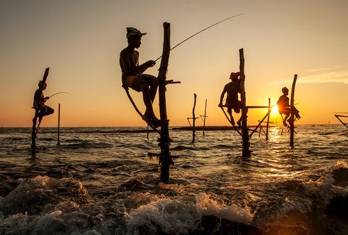 快樂垂釣頻道推介會_快樂垂釣頻道_釣魚奧斯卡橫店聚會