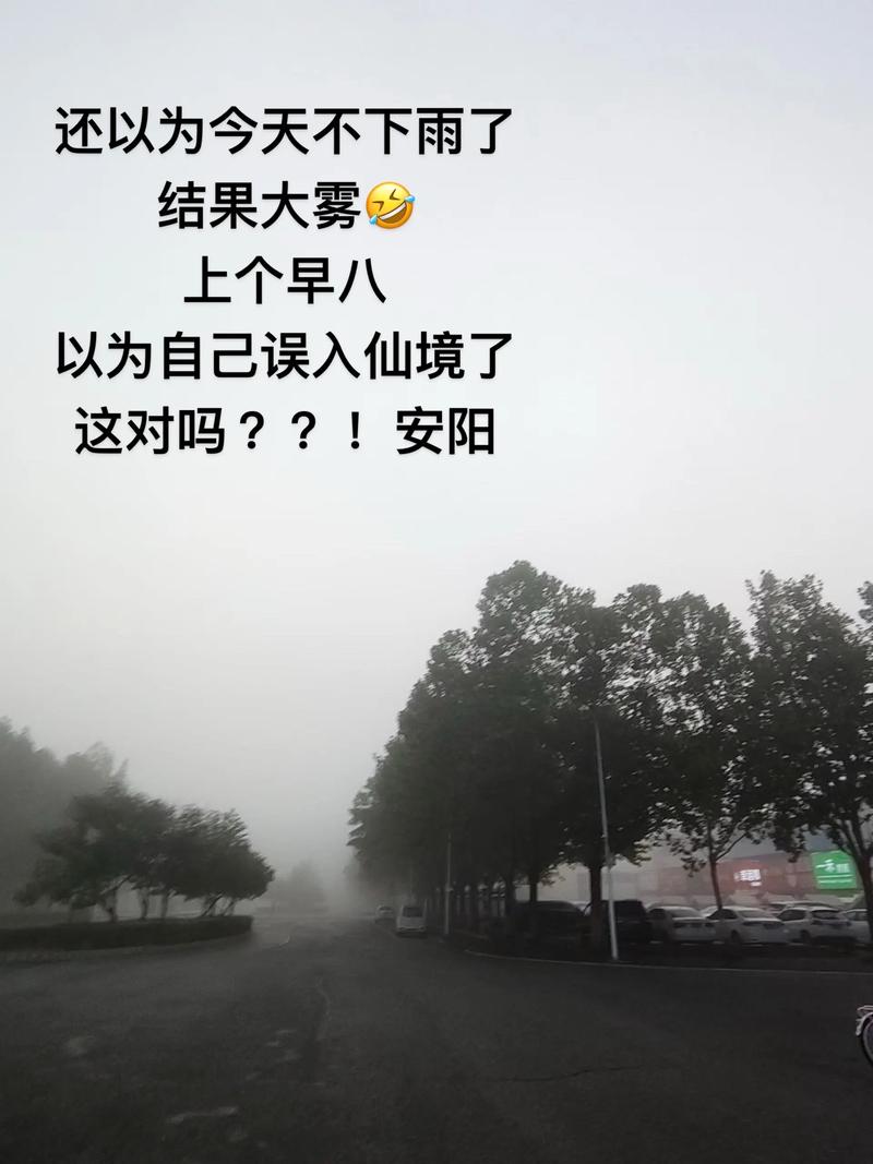 河南陰雨持續天氣預報_安陽天氣預報10天_河南大霧天氣預警
