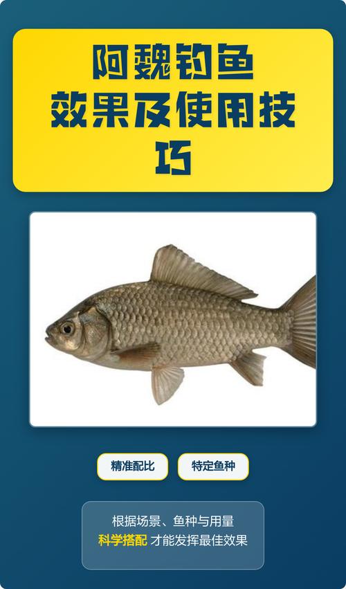 秋季釣魚阿魏效果不錯_春季釣魚阿魏效果最佳_阿魏釣魚有用嗎