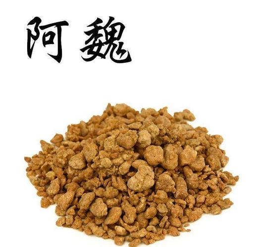 春季釣魚阿魏效果最佳_阿魏釣魚有用嗎_秋季釣魚阿魏效果不錯