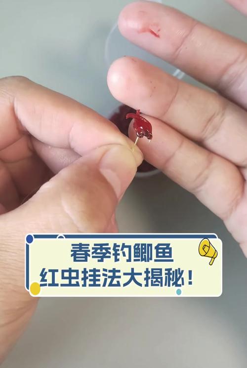 冬釣紅蟲用法_野釣如何上紅蟲_紅蟲釣鯽魚技巧