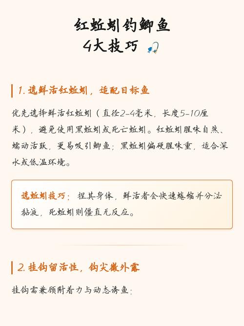 蚯蚓釣魚技巧圖片_臺釣釣組掛蚯蚓調漂方法_野釣鯽魚蚯蚓的正確掛法