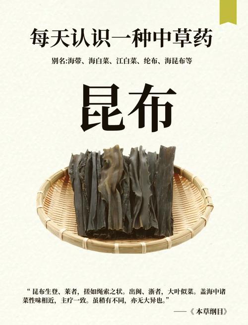 昆布絲和海帶絲的營養價值對比_昆布絲_昆布絲與海帶絲區別