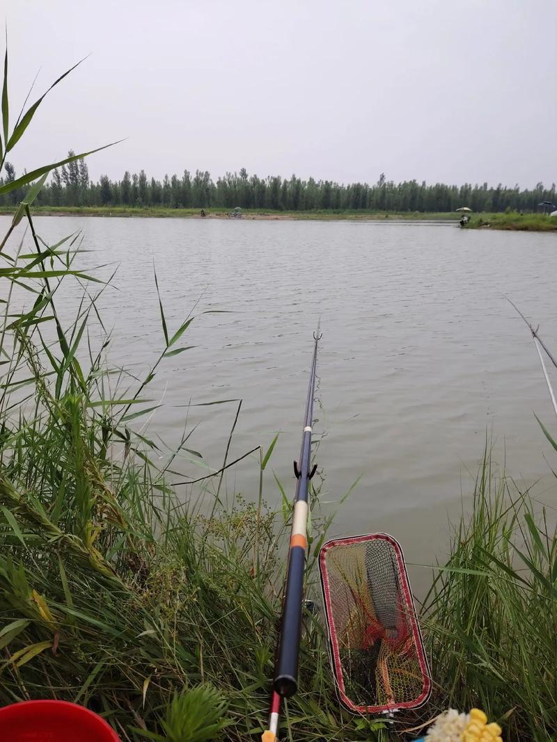 永定河跨省市治理_永定河生態修復_永定河_永定河釣魚攻略_永定河可以釣魚嗎