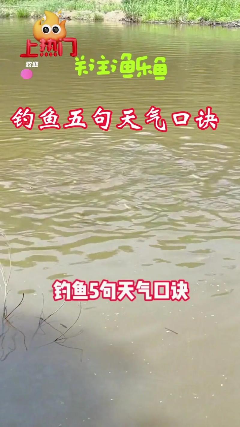 釣魚技巧看天氣_手竿釣魚技巧_釣魚風向風力技巧