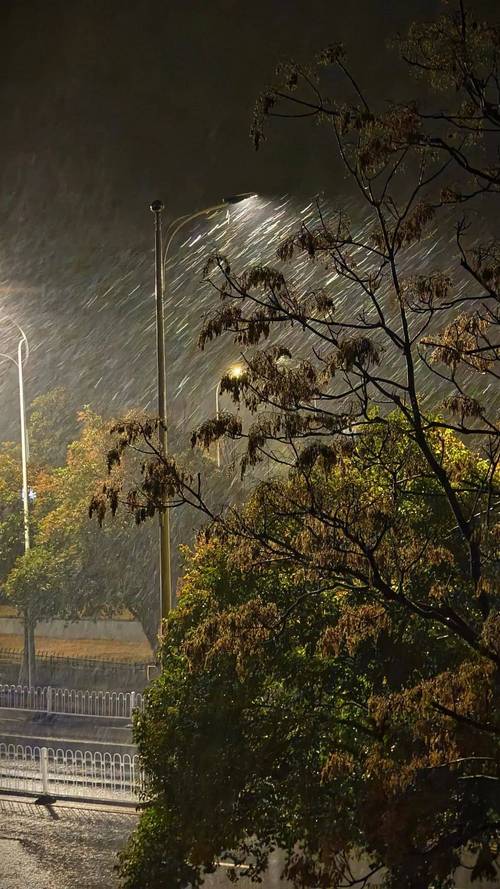 徐州天氣預報_徐州市雨雪天氣應對措施_徐州降溫大風天氣預警