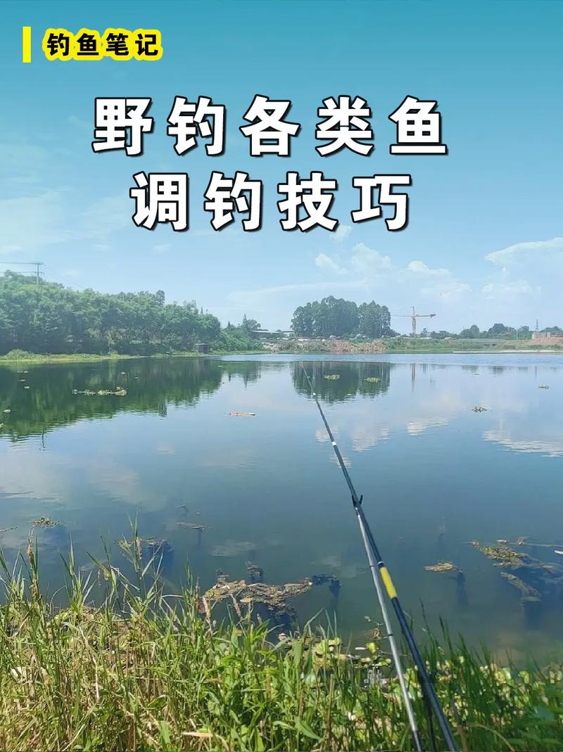 春季野外釣魚技巧_野外釣魚直播_春季魚情變化應對策略