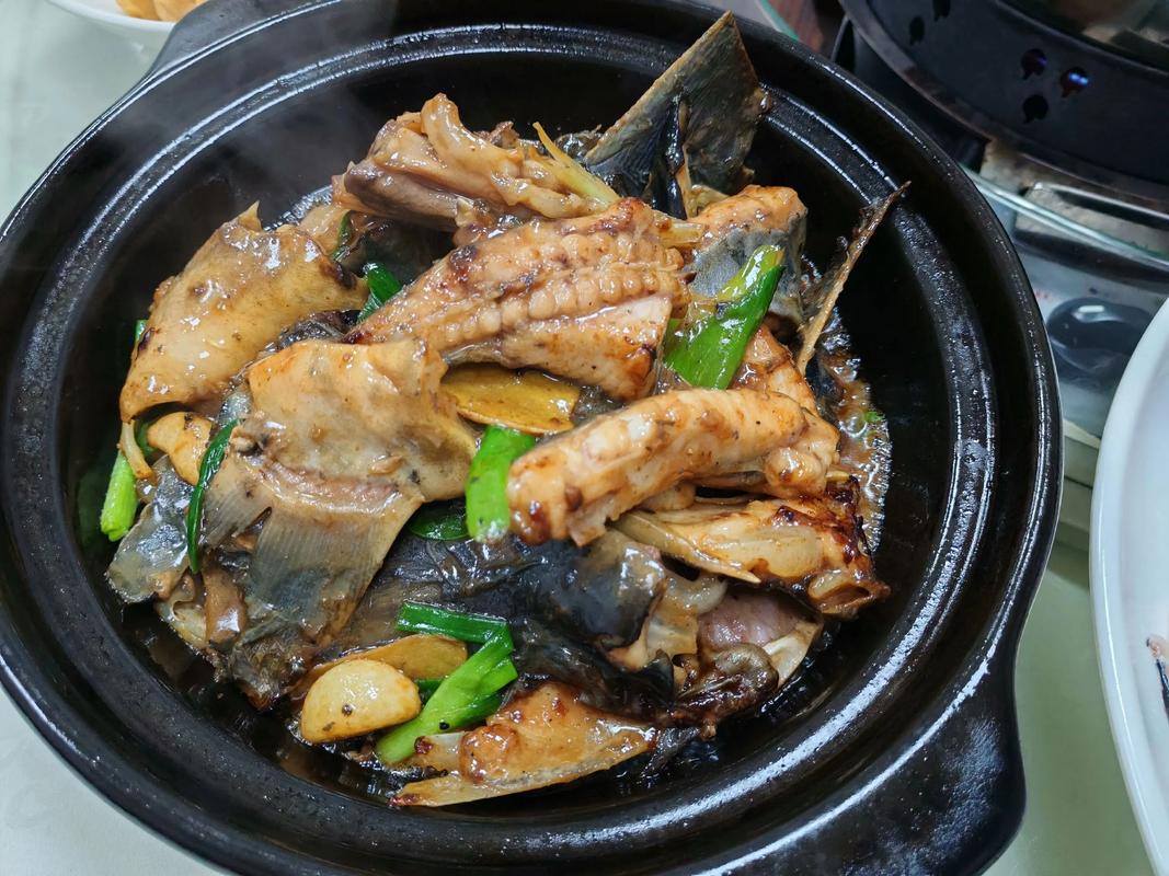 鴨嘴魚養殖基地 石益宏 鴨嘴魚美食_鴨嘴魚