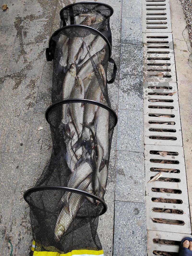 裝備的圖片_最簡單的野釣裝備圖片_裝備圖片素材