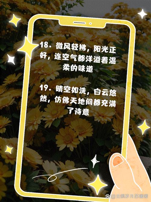 與風和日麗的天氣相擁 度日之感 品味時光_陽光明媚風和日麗