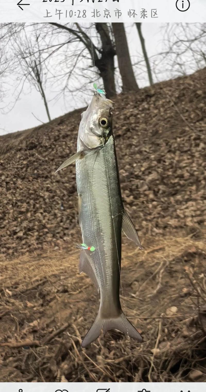 季節釣法+水域推薦+裝備清單_天津潮白河四季垂釣攻略必看_天津鯽魚垂釣攻略