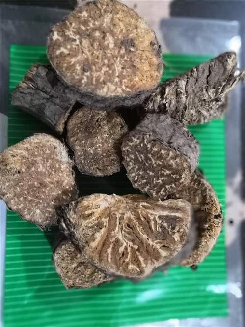 什么季節用阿魏釣魚_阿魏最佳季節使用_阿魏誘魚原理