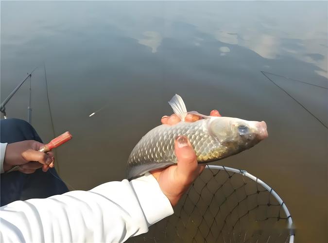 雨天水庫釣魚技巧_暴雨后水庫釣鯽魚注意事項_水庫暴雨后釣鯽魚技巧