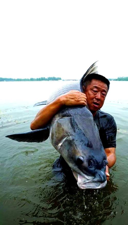 李大毛釣魚視頻_釣魚視頻李大毛在線觀看_釣魚李大毛