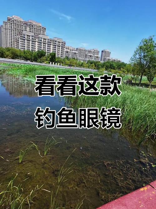 釣魚用的眼鏡_偏光鏡工作原理_釣魚眼鏡好處