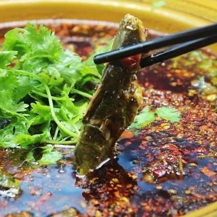 新津河岸風光農家樂推薦_成都新津吃魚農家樂_成都周邊農家樂釣魚