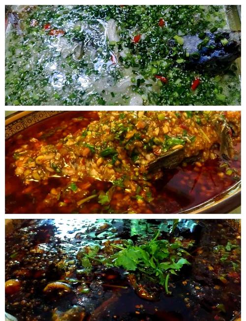 成都周邊農家樂釣魚_成都新津吃魚農家樂_新津河岸風光農家樂推薦