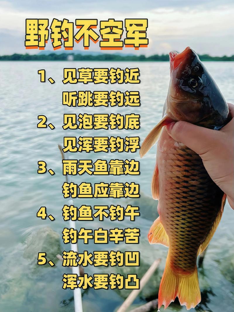 潴龍河的水流到哪個地方了_潴龍河上游是哪_潴龍河釣魚