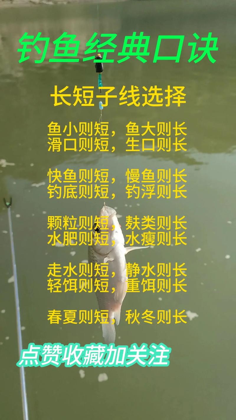 雨前黑坑釣魚需要了解的技巧必看_不同氣候條件下的精準作釣技巧_黑坑釣魚天氣選擇策略