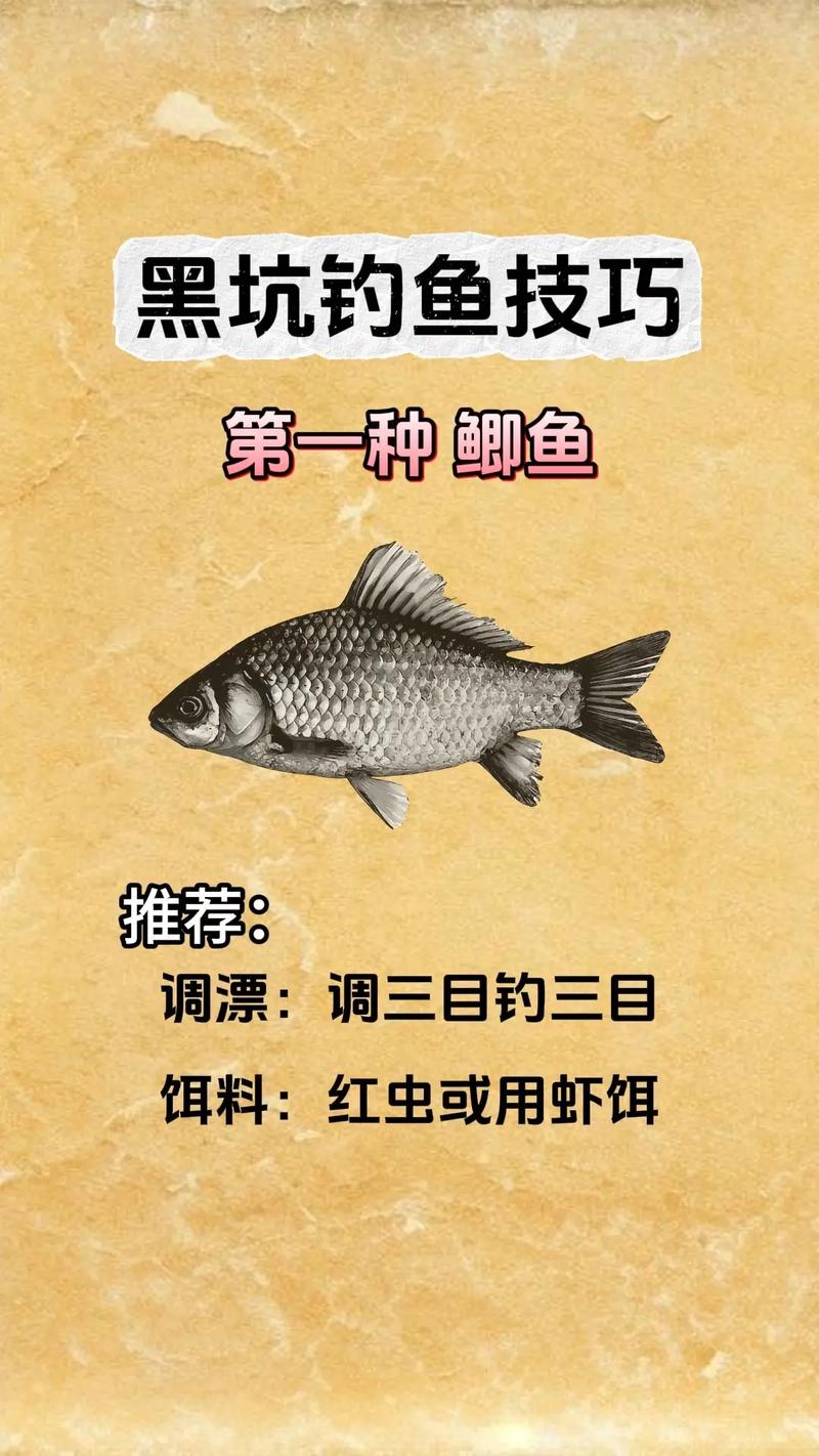 黑坑釣魚天氣選擇策略_不同氣候條件下的精準作釣技巧_雨前黑坑釣魚需要了解的技巧必看