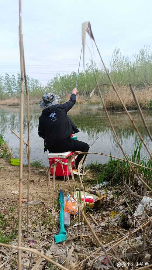 魚塘釣魚最佳時間_魚塘釣魚注意事項_在淺水魚塘怎么釣魚?