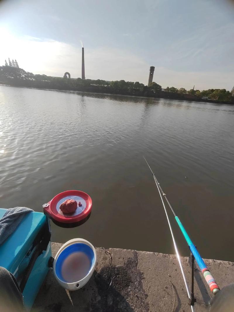 魚塘釣魚最佳時間_在淺水魚塘怎么釣魚?_魚塘釣魚注意事項