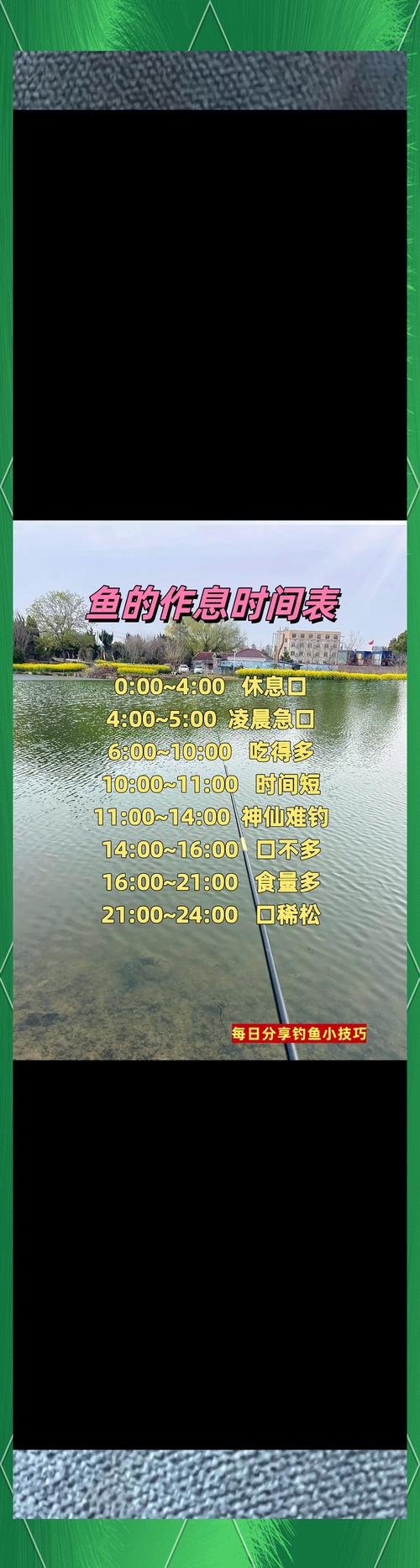 在淺水魚塘怎么釣魚?_魚塘釣魚最佳時間_魚塘釣魚注意事項