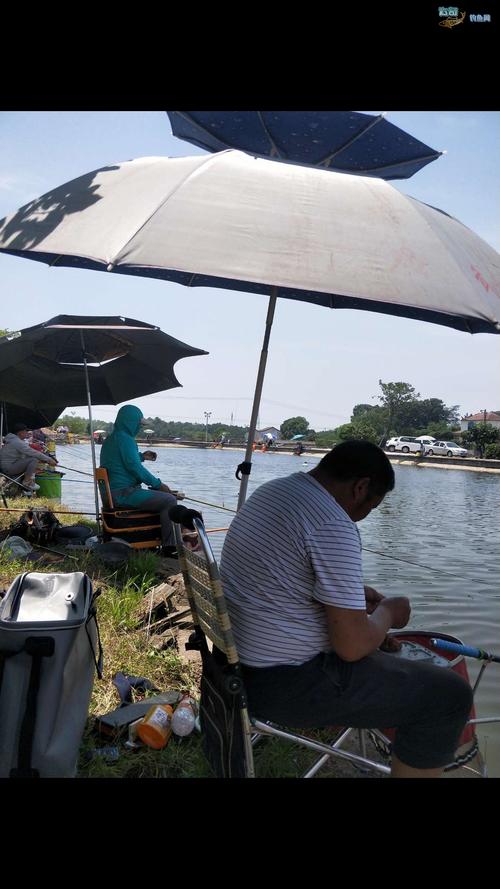 云南釣魚論壇之野釣_云南、貴州釣魚網達奇釣魚論壇_貴洲釣魚論壇