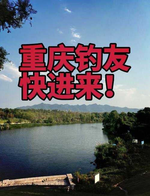 云南、貴州釣魚網達奇釣魚論壇_貴洲釣魚論壇_云南釣魚論壇之野釣