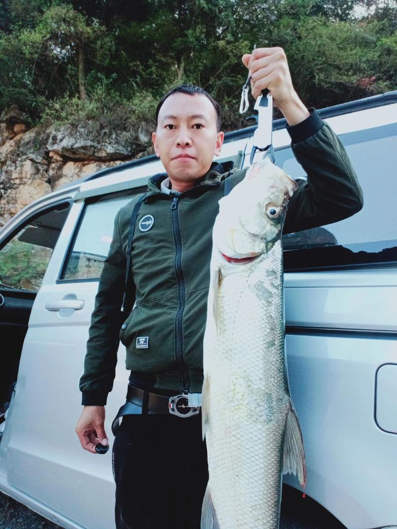 云南、貴州釣魚網達奇釣魚論壇_云南釣魚論壇之野釣_貴洲釣魚論壇