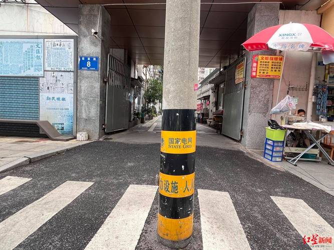 蘆葦冒充鋼筋 蘆葦桿代替鋼筋 豆腐渣工程_蘆葦 鋼筋