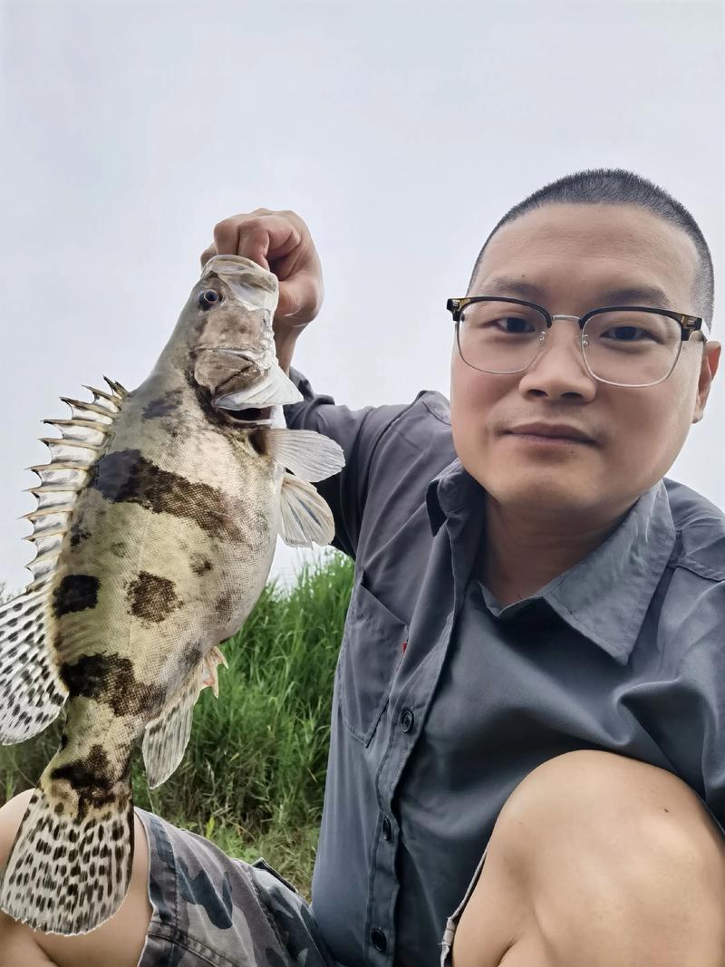 路亞鱖魚技巧_路亞釣魚視頻野釣實戰_鱖魚殺手锏攻略