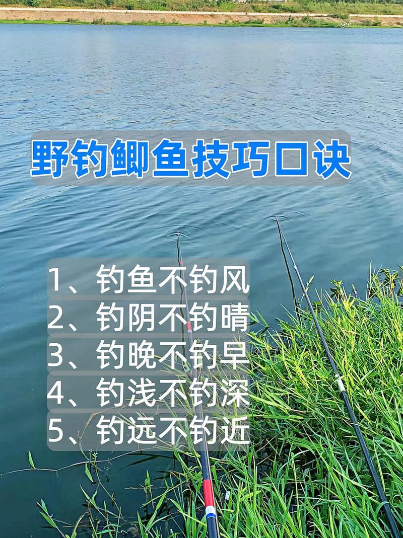 野釣鯽魚視頻大全高清_野釣鯽魚視頻教學視頻_野釣鯽魚視頻大全高清