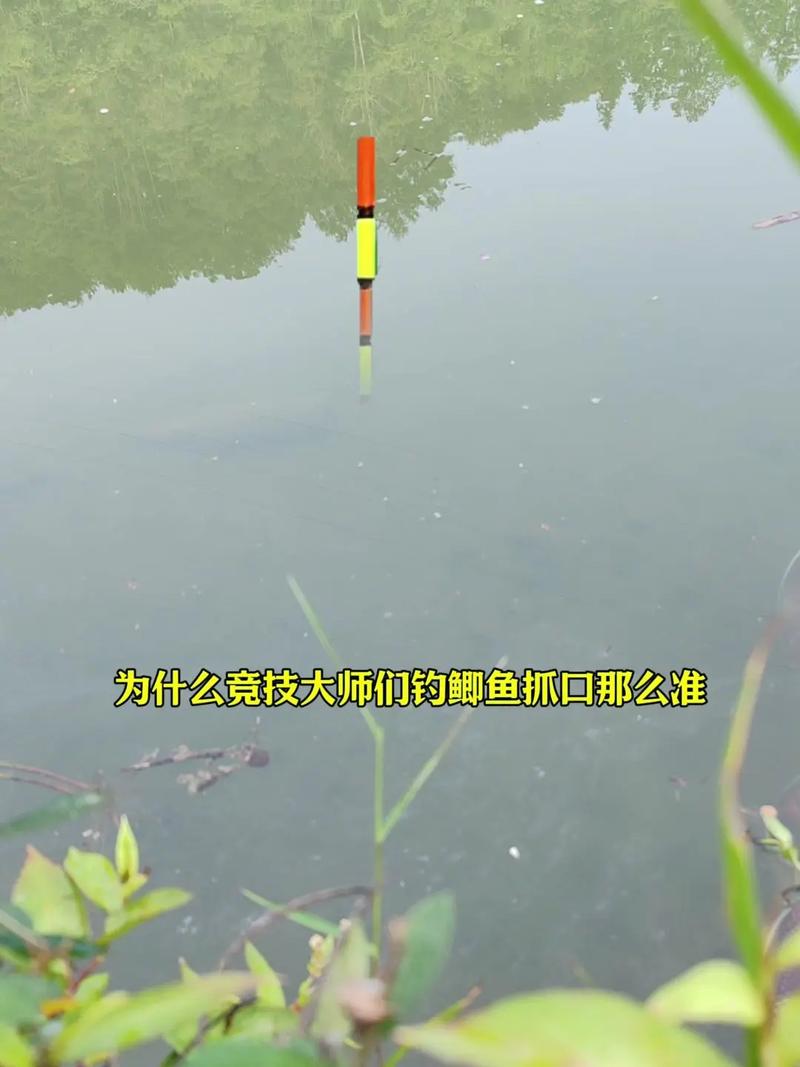 野釣鯽魚用什么漂型_野釣看漂視頻_七星漂和立漂的選擇