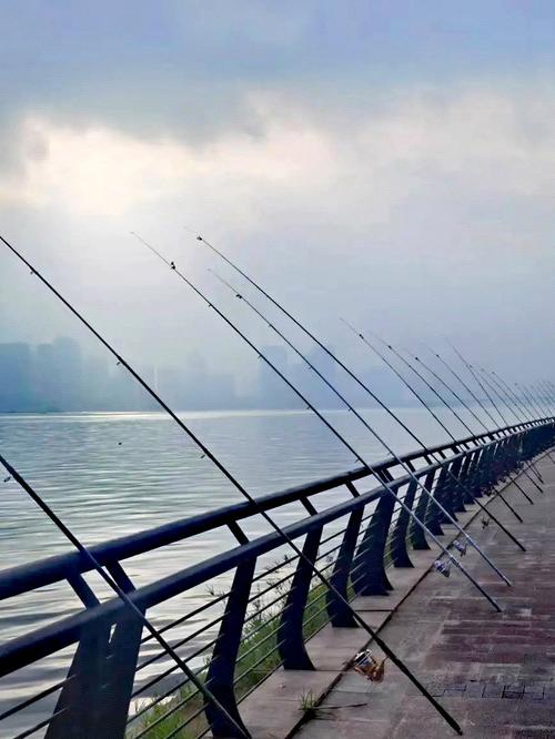 上海浦東川楊河野釣_上海浦東新區野釣地點_上海浦東世紀公園野釣